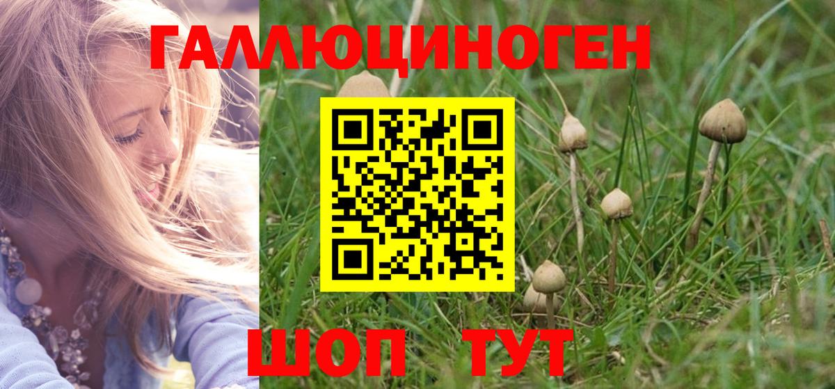 Псилоцибиновые грибы GOLDEN TEACHER Черняховск
